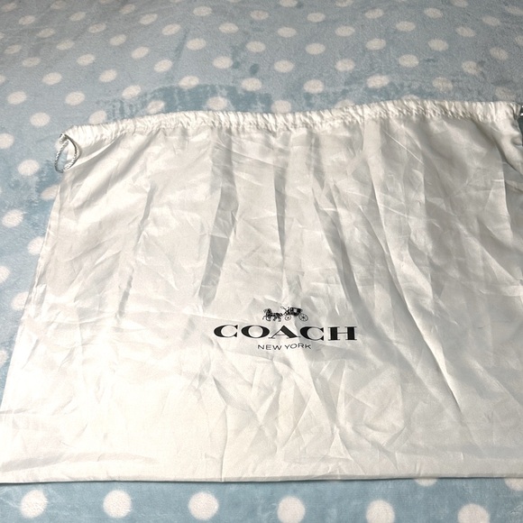 Coach Silk Dust Bag - Picture 1 of 3